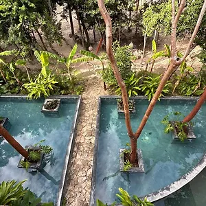 https://condohotel-tsonot-en-luum-zama.allrivieramayahotels.com