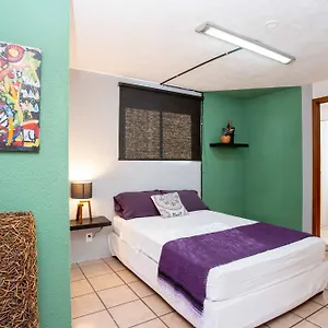 https://hostal-la-paz-love-guadalajara.guadalajarahotels.info